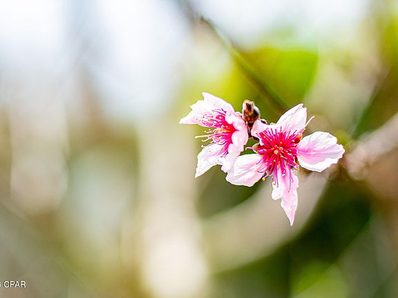 4th image of 1025 W 19th St APT 10C