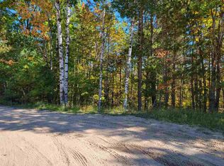 16989 Timberline Dr, Wolverine, MI 49799