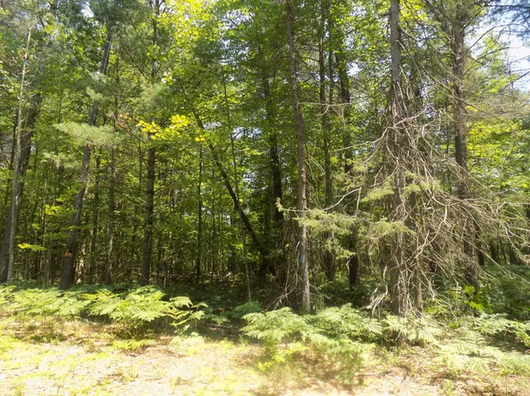 Old Pine Trl, Prudenville, MI 48651