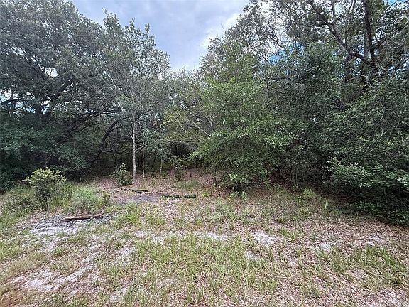 3rd image of 1012 WILDFLOWER STREET LOT 33