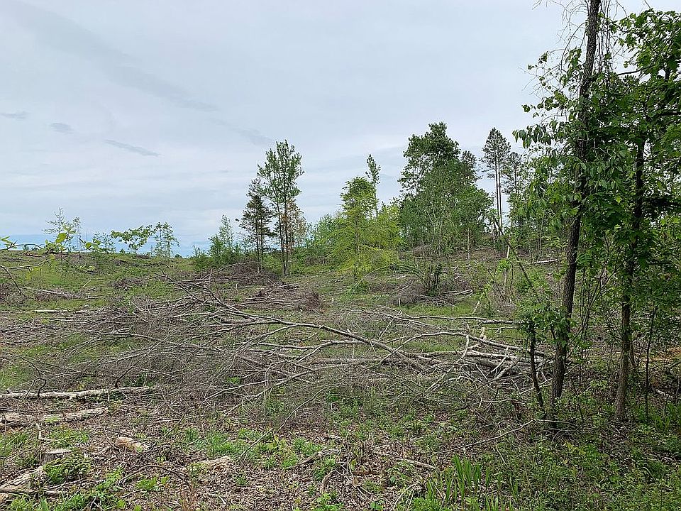 2nd image of County Road 103