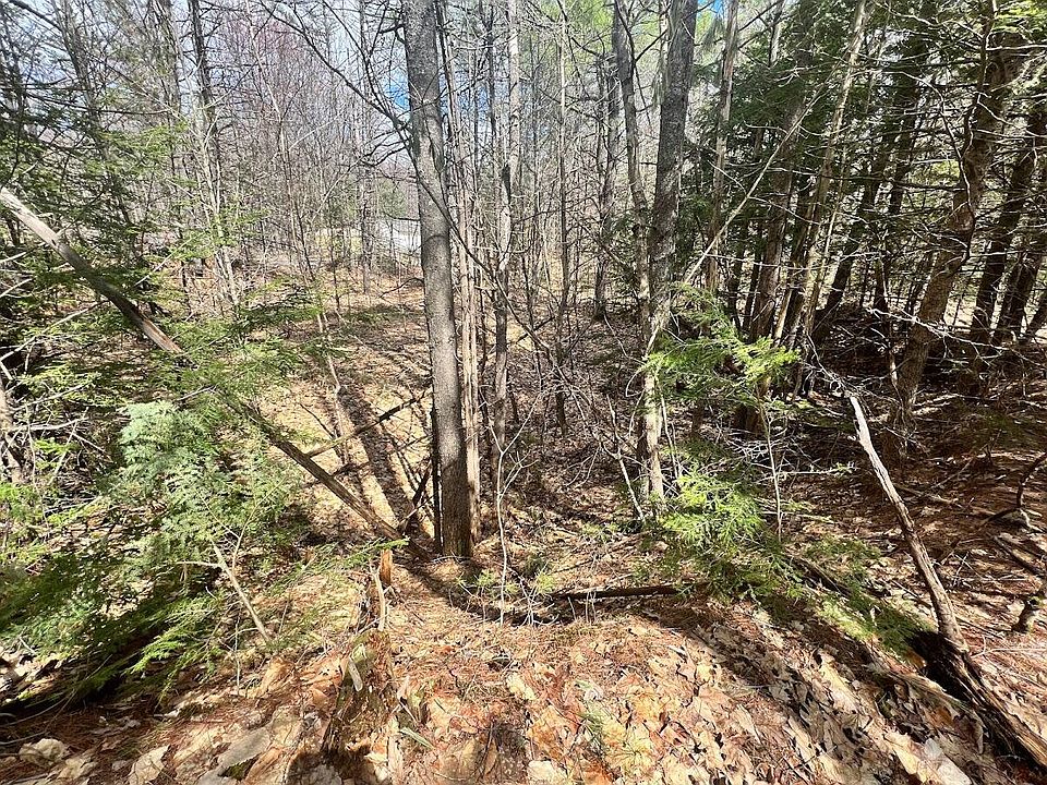 2nd image of Lot B Bisbee Town Road