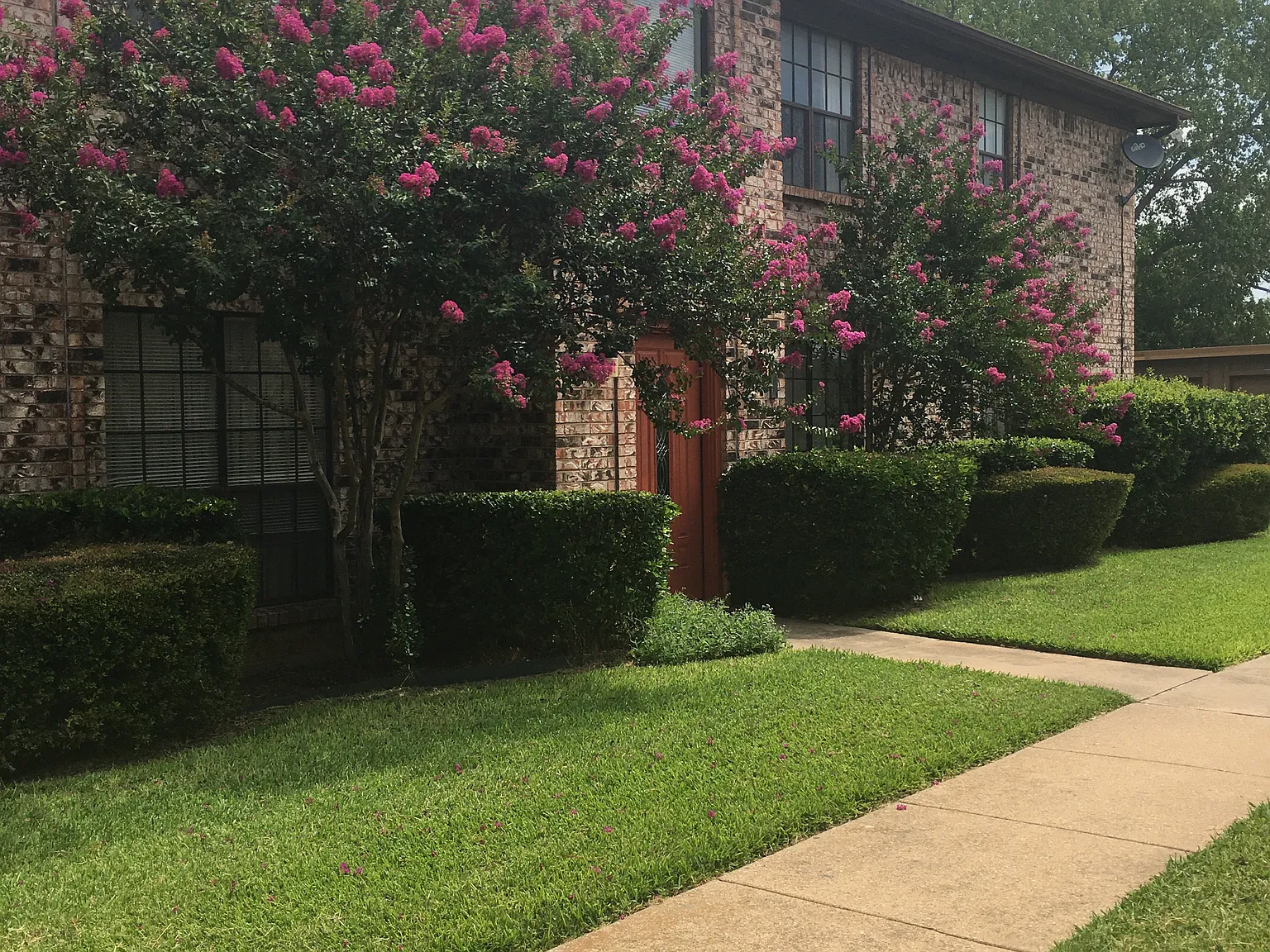2 bed, 1000 sqft, $1,180 — Photo 2
