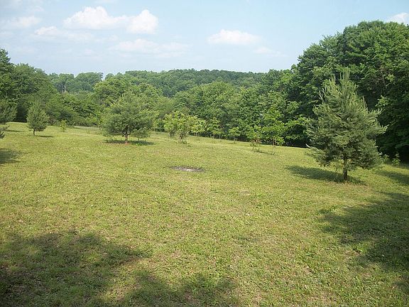 Field View facing East