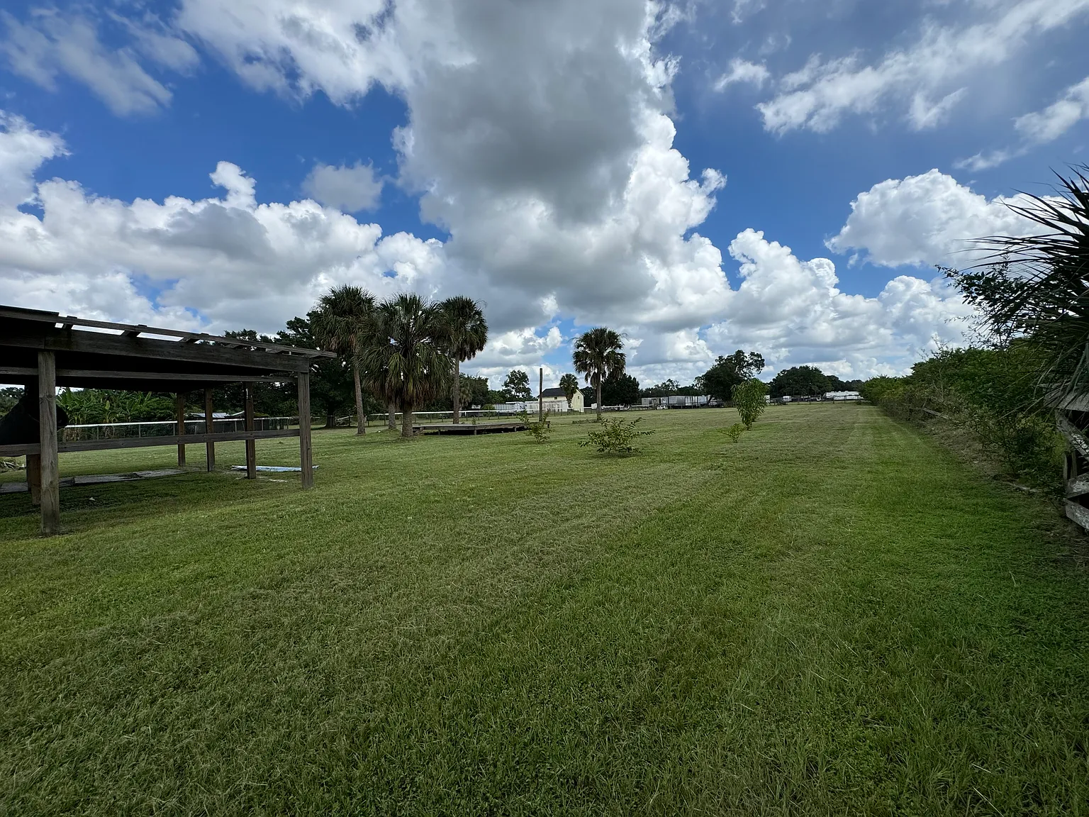 3 bed, 1286 sqft, $3,100 — Photo 3