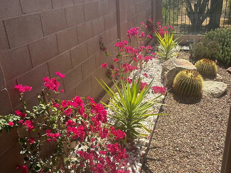 12108 N Golden Mirror Dr — Photo 37