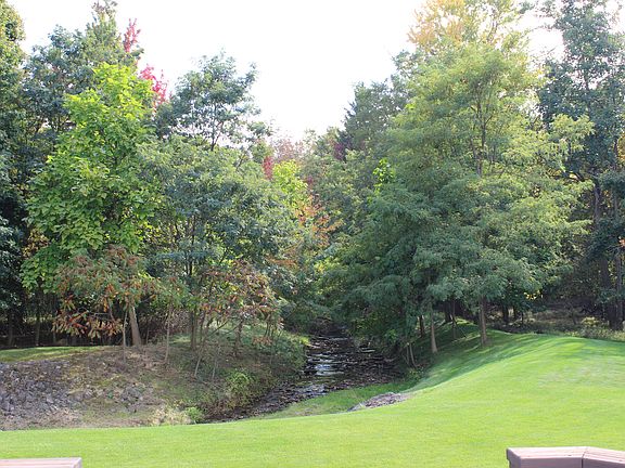 Backyard - View from House