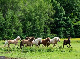 385 Latimore Creek Rd, York Springs, PA 17372