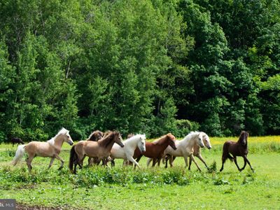 385 Latimore Creek Rd, York Springs, PA, 17372