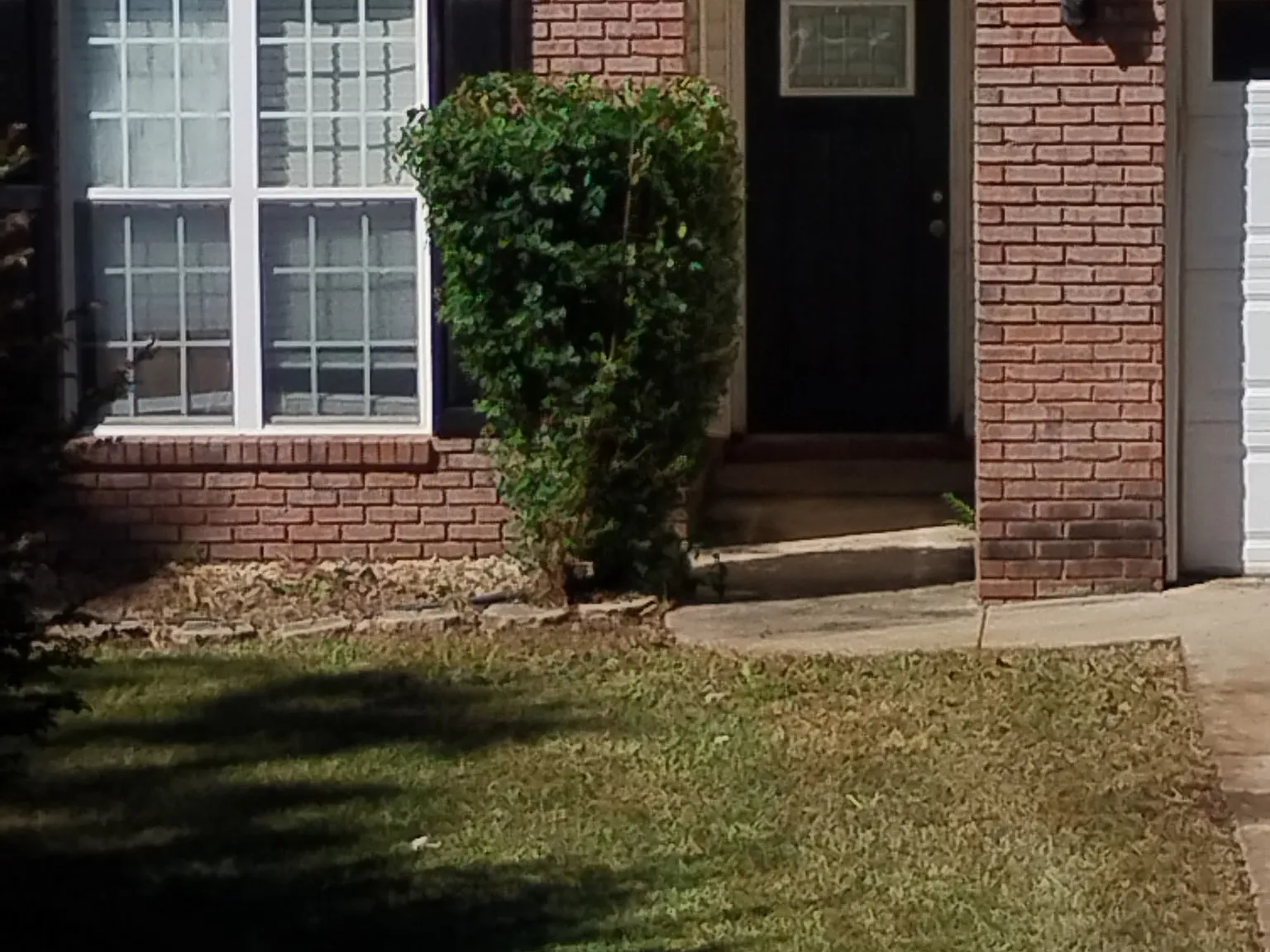 3 bed, 1366 sqft, $1,800 — Photo 1