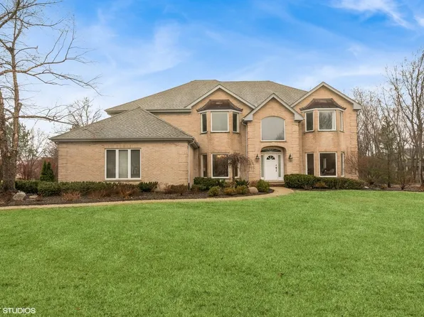 20722 N Plumwood Dr, Kildeer, IL 60047