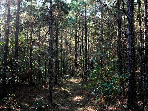 2nd image of 0 Ables Rd