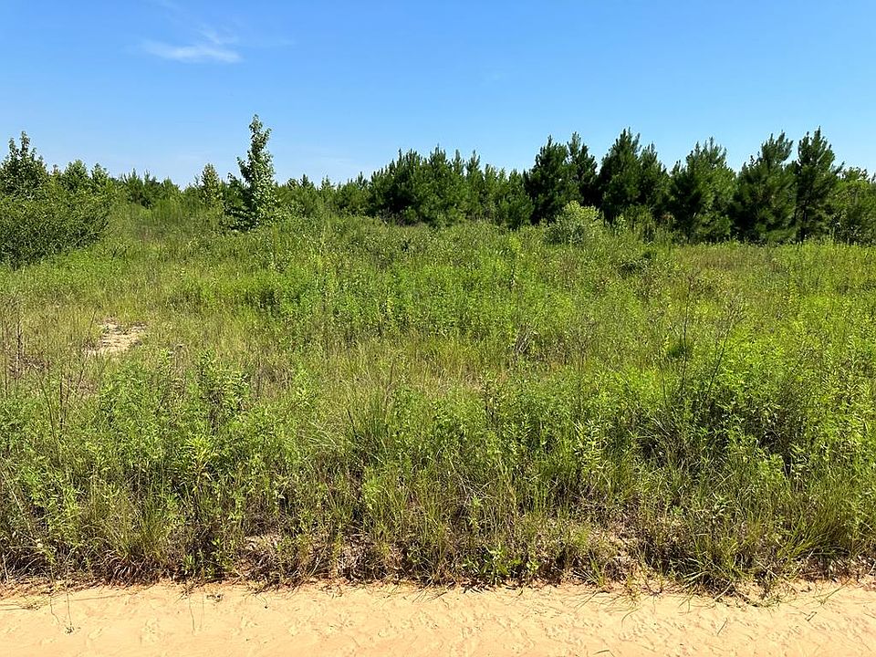 4.6 Old Elba Rd, Coffee Springs, AL 36318 Zillow