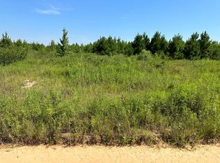 4.6 Old Elba Rd, Coffee Springs, AL 36318