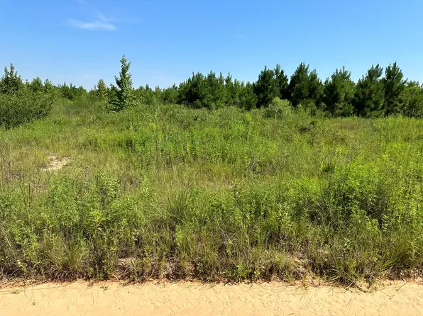 4.6 Old Elba Rd, Coffee Springs, AL 36318