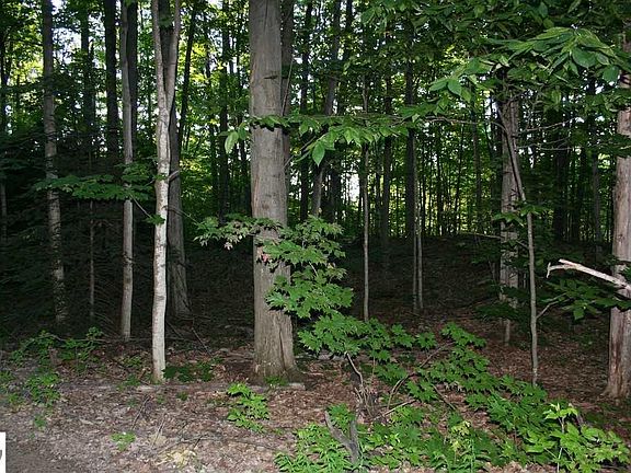 3rd image of N Birchwood Dr