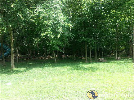 View from back patio area (woods are part of lot)