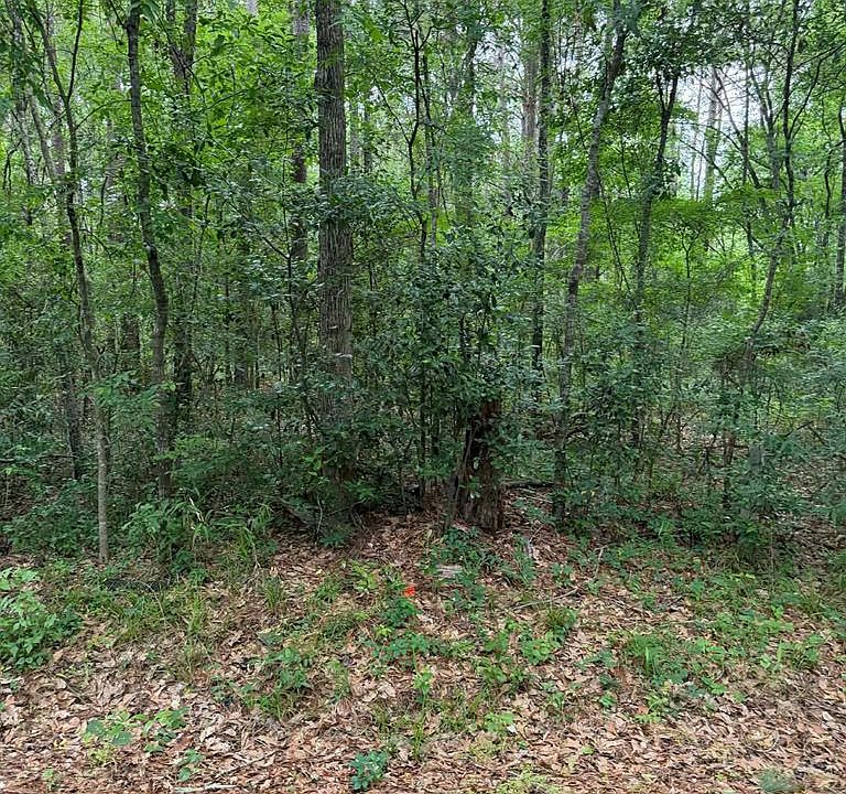 1st image of LOT 2 Old Gobblers Knob Rd