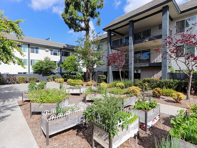 Miracle Terrace — Photo 17