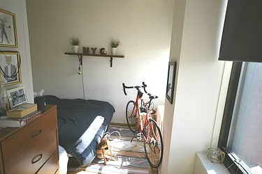 Rented by Bold New York