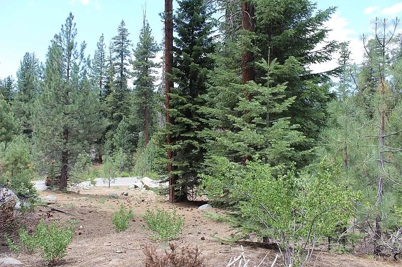58206 Meadow Ln photo 1