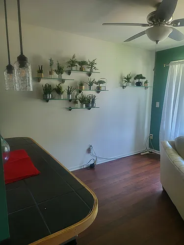 22 Rawson St #3 Photo 1