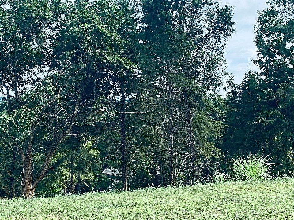Lots of trees
