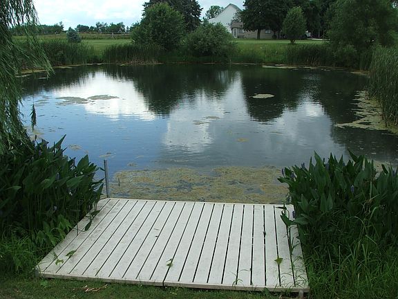 1022 Hidden Creek pond_07012013