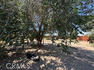 5th image of 40915 161st St E