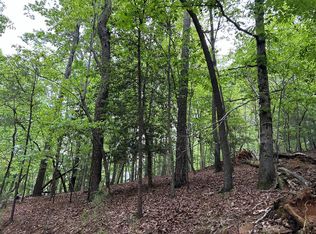 LOT 595 Jonquil Ln, Ellijay, GA 30540