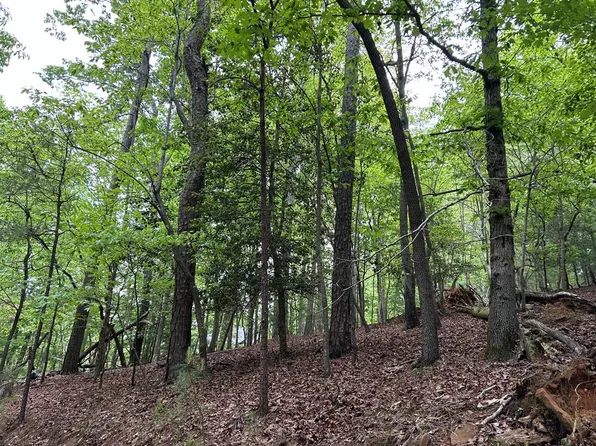 LOT 595 Jonquil Ln, Ellijay, GA 30540