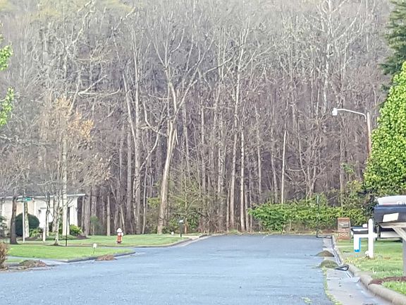 5th image of 601 Maclean Dr