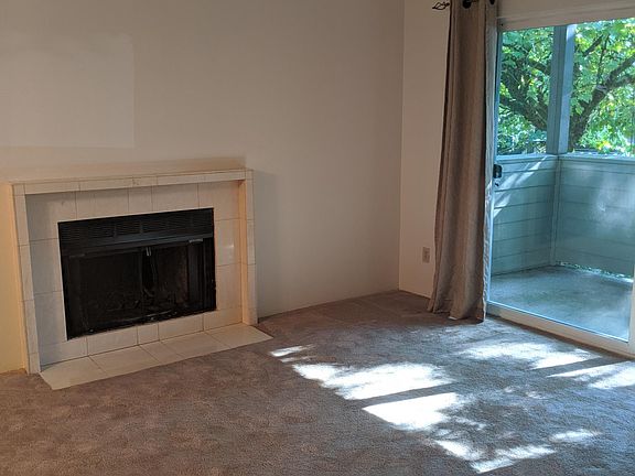 Wood Burning Fireplace