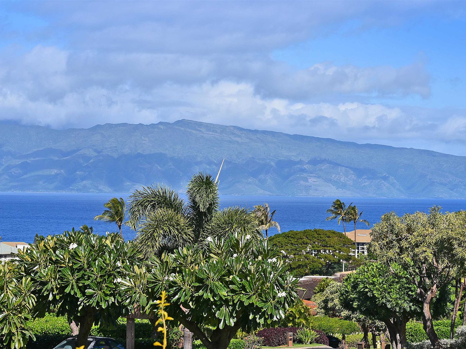 50 Puu Anoano St APT 1708