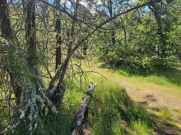 5th image of Redwood Hwy #Tl-203