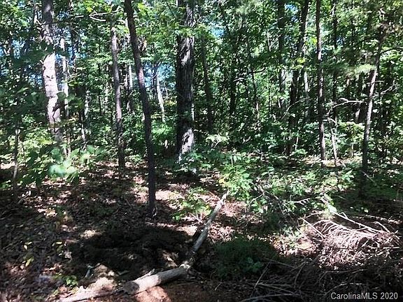 5th image of Cherrywood Dr