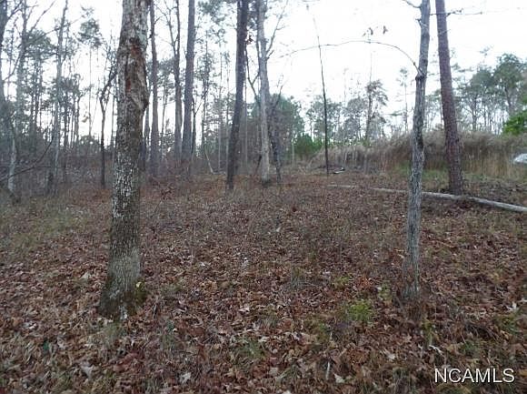 2nd image of 71 County Road 4235