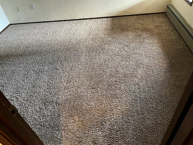 2nd bedroom -carpets in entire unit professionally cleaned.