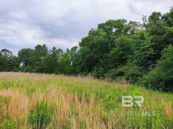 0 County Road 69, Coffeeville, AL 36524