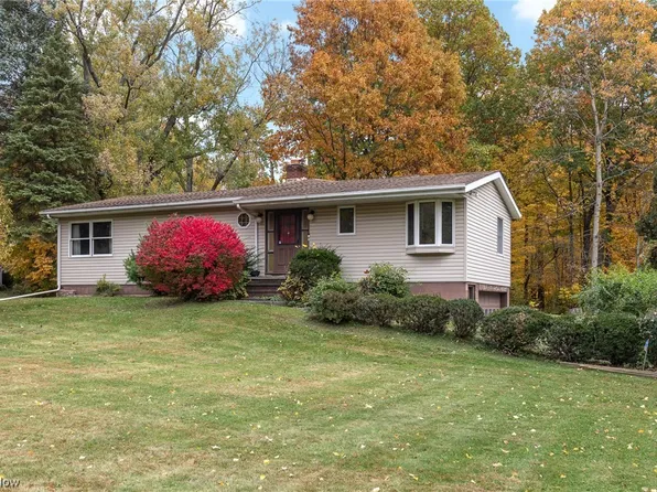 189 Briar Hill Dr, Painesville, OH 44077