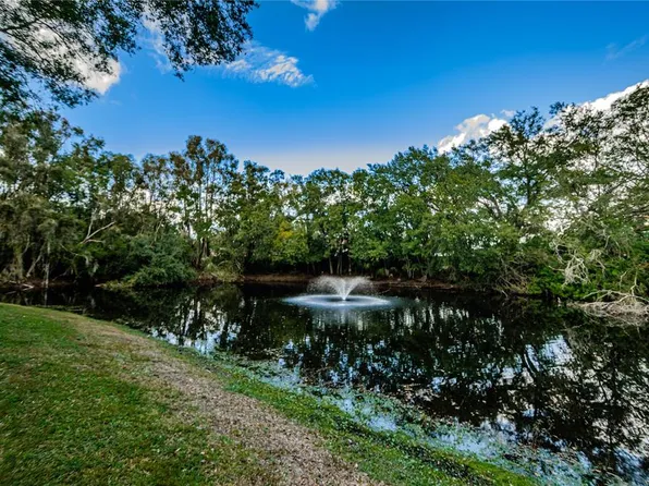 14008 N Boulevard St, Tampa, FL 33613