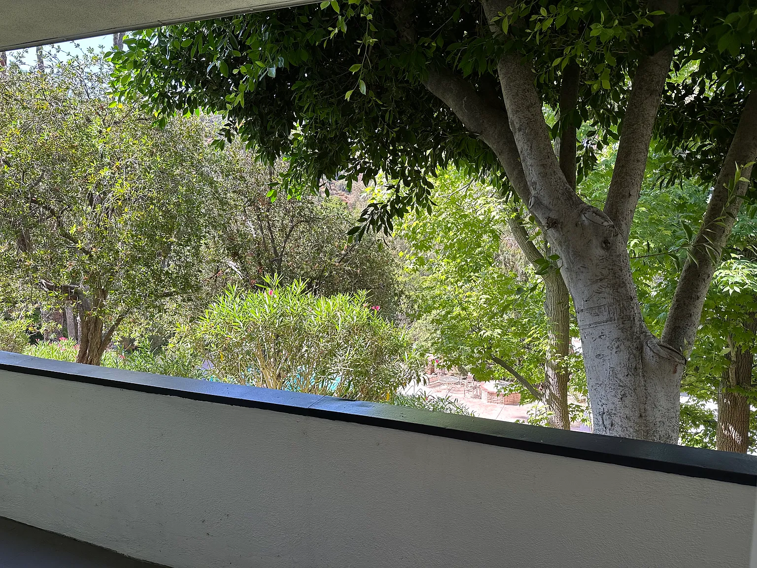 1 bed, 689 sqft, $2,400 — Photo 4
