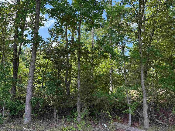 3rd image of 1 Rose Creek Rd
