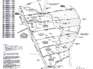 Lot 5 Hwy 174, Adams Run, SC 29449
