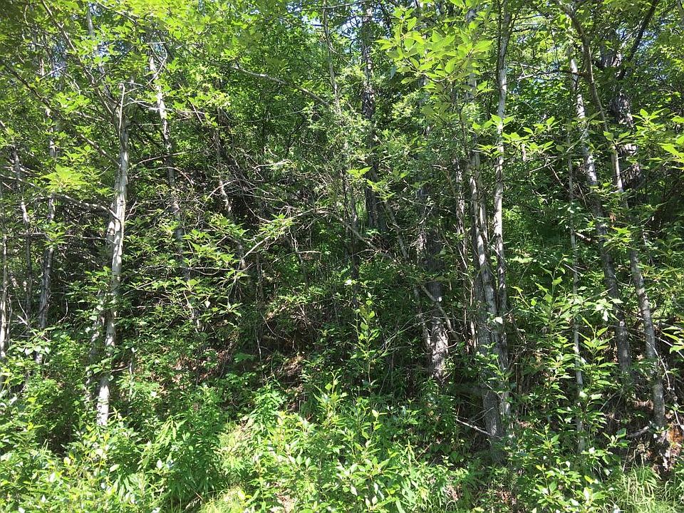 2nd image of 19721 Meadow Canyon Dr