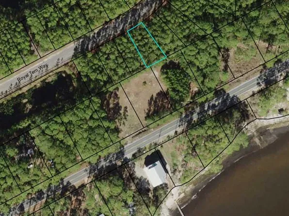 164 Royal Tern Way, Carrabelle, FL 32322