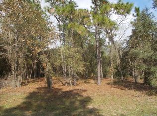 93 E Reehill St, Lecanto, FL 34461