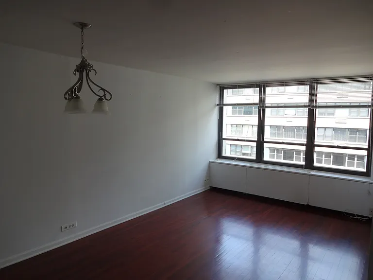 222 E Pearson St #2105 — Photo 11
