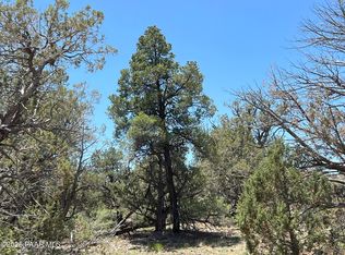 61 Colt Ct SE #4, Ash Fork, AZ 86320