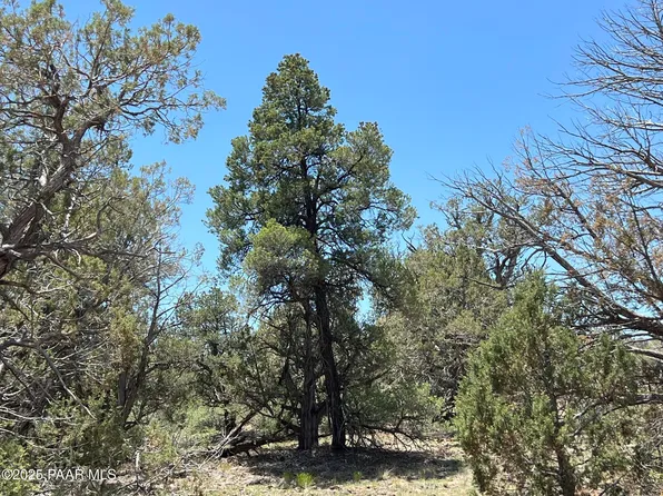 61 Colt Ct SE #4, Ash Fork, AZ 86320